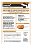 fact sheet english